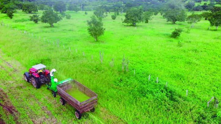 Sistema de manejo natural não agride meio ambiente