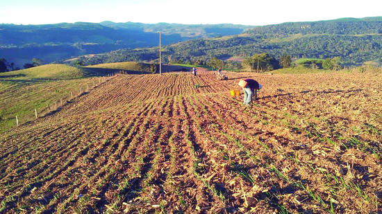 Benefício será pago em parcela única de R$ 850 para agricultores de 54 municípios