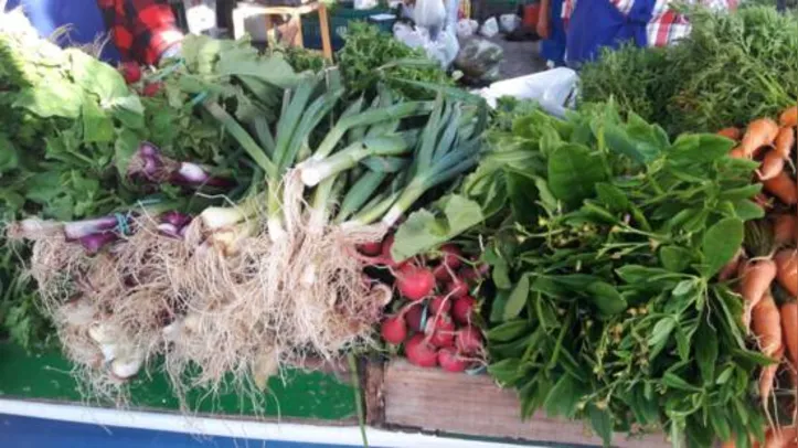 Imagem ilustrativa da imagem Agricultura familiar ganha plataforma para venda de produtos