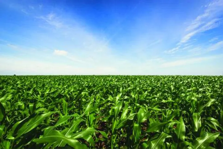 Na comparação feita entre os anos de 2000 e 2019, a produtividade da agropecuária brasileira aumentou 3,18% ao ano