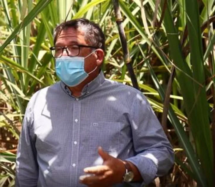 Para Rosário, se houver ocorrências de chuvas em outubro, setor pode chegar em dezembro com resultados ainda melhores