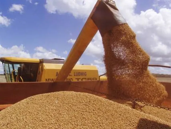 Soja apresenta uma elevação de 11,1 milhões de toneladas na produção desta safra