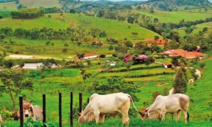 Imagem ilustrativa da imagem DICA RURAL (04 e 05/09/2021)