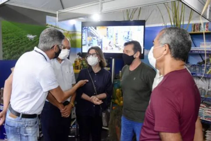 Imagem ilustrativa da imagem DICA RURAL (11 e 12/12/2021)