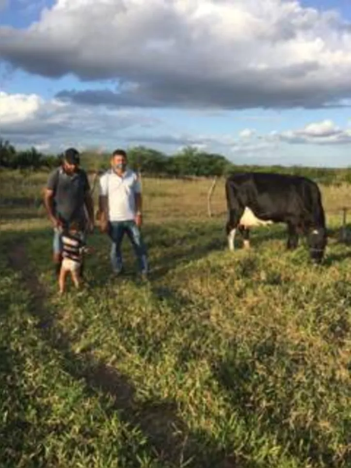 Imagem ilustrativa da imagem DICA RURAL (13 e 14/11/2021)