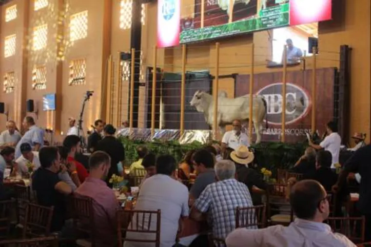 Imagem ilustrativa da imagem DICA RURAL (16 e 17/10/2021)