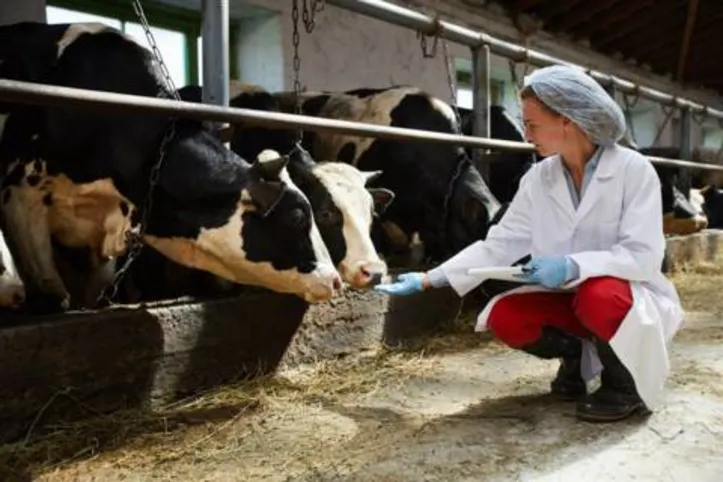 Imagem ilustrativa da imagem DICA RURAL (20 e 21/11/2021)
