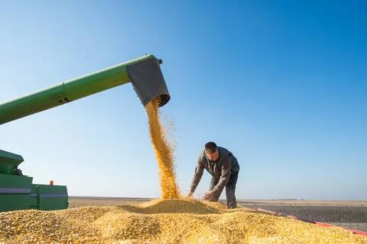 Imagem ilustrativa da imagem DICA RURAL (25 e 26/09/2021)