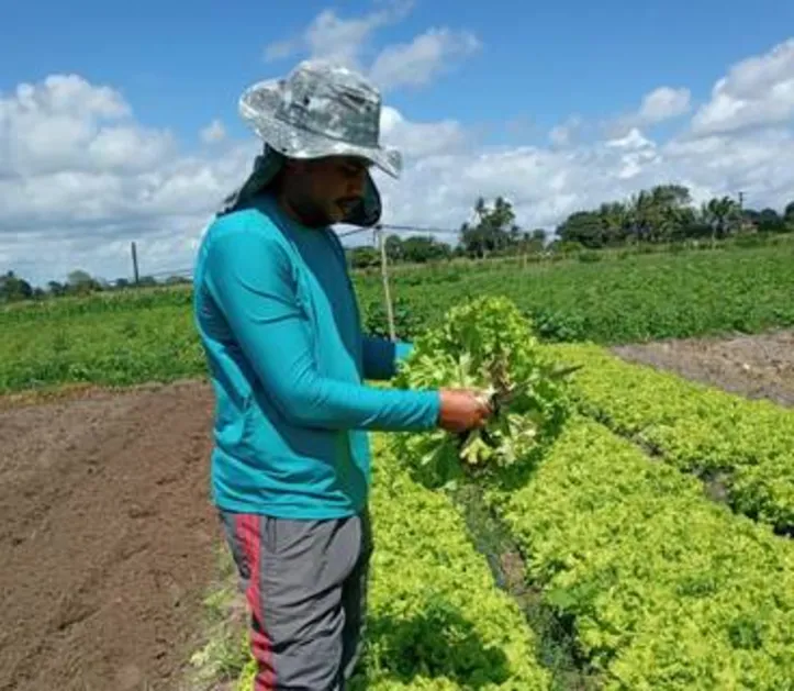 Programa já beneficiou mais de 100 mil pessoas por meio da compra de quase 10 mil toneladas de alimentos