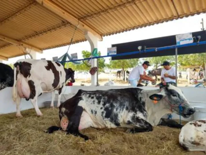 Pavilhão também vai reverter o quantitativo de leite ordenhado durante o evento em cestas básicas a serem destinadas às famílias carentes do Sertão