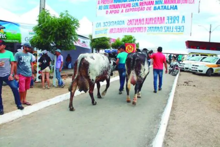 Evento vai receber criadores de Alagoas e de Estados vizinhos como Pernambuco e Sergipe