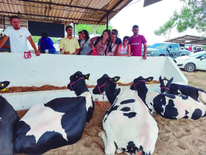 Expobacia Leiteira é a maior vitrine para os trabalhos da pecuária de leite