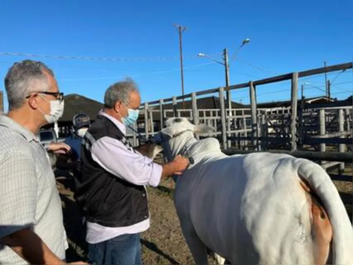 Lançamento da etapa foi realizado no Parque da Pecuária, durante a Expoagro