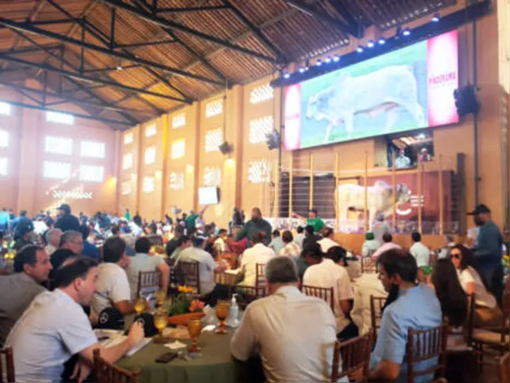 Remate superou as expectativas dos promotores