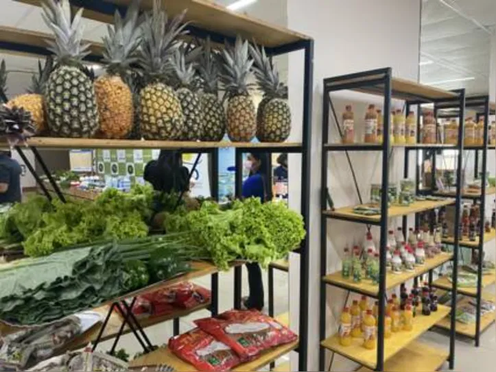 Quitanda Coop apresenta alimentos in natura e industrializados produzidos pela agricultura familiar