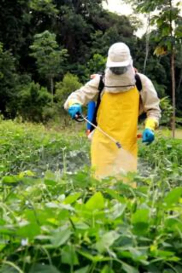 Novo decreto inclui aditivos próprios para cultivos certificados como orgânicos, além de facilitar a produção de agrotóxicos genéricos