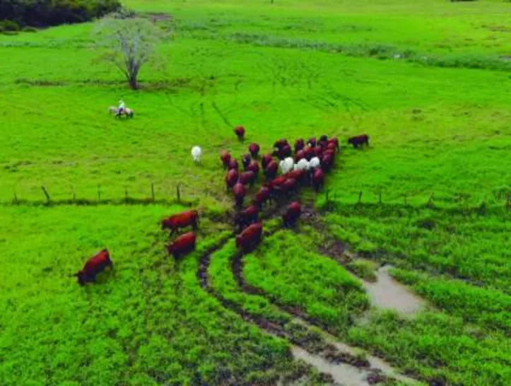 Remate vai ocorrer no dia 19 de setembro, às 15h, pela Agreste Leilões