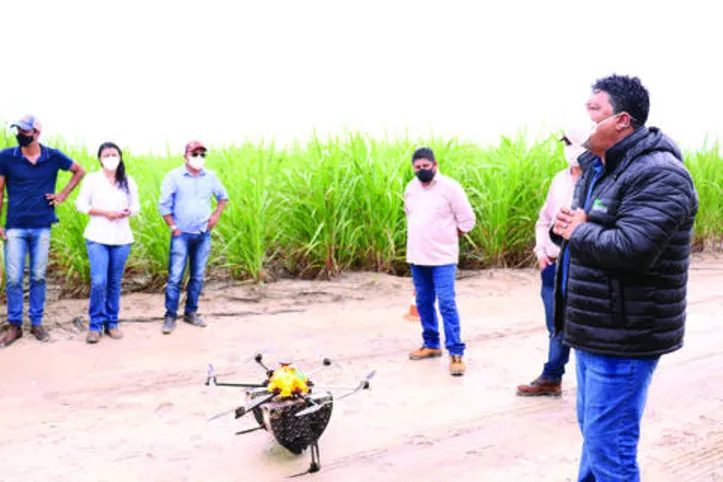 Dia de campo em área de teste de Pindorama reuniu associados da cooperativa