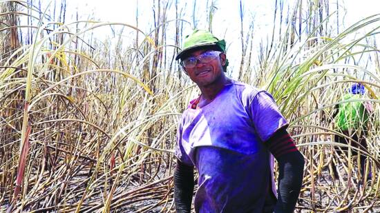 Edilson Vieira, cortador de cana-de-açúcar da Usina Santo Antônio