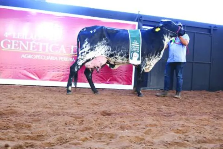 Última edição da exposição foi realizada em 2019, antes da pandemia de Covid-19
