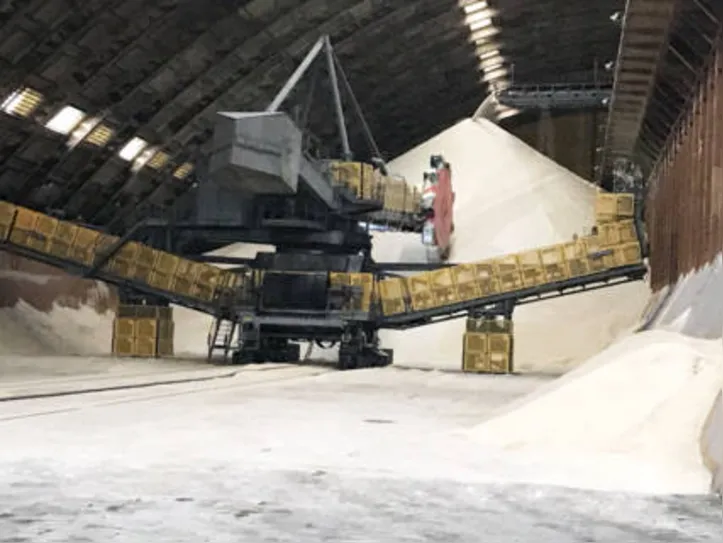 Todos os produtos que fazem parte do mix da cana em Alagoas tiveram queda de preço