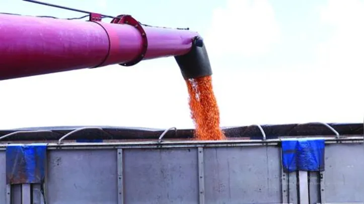 Projetos deverão estar alinhados com as políticas de apoio ao setor agropecuário e ao desenvolvimento rural