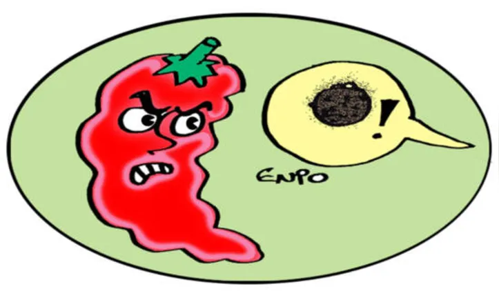Imagem ilustrativa da imagem Confira os destaques da política nacional #CH05032022