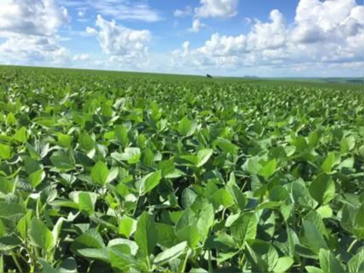 Sealba representa uma região composta por cinco milhões de hectares formada por parte de três estados nordestinos