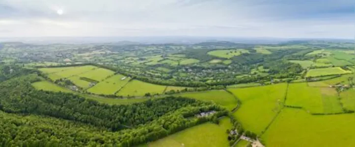 Em média, 58% dos produtores que aderiram ao Cadastro Ambiental Rural manifestaram interesse em aderir ao PRA