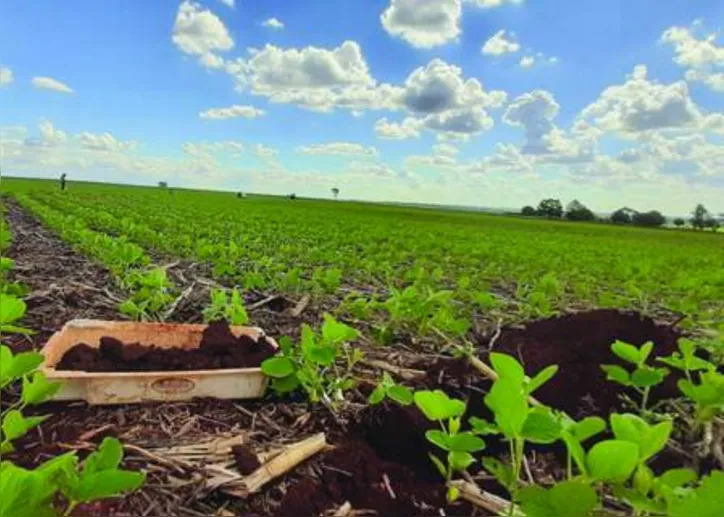 Método permite diagnosticar a qualidade do manejo e a fertilidade do solo para identificar fatores que limitam a produtividade, a estabilidade de produção e a lucratividade