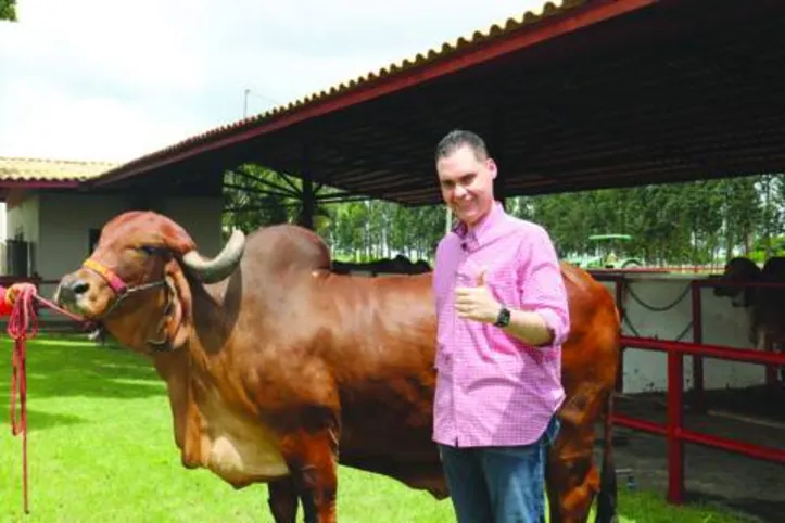 Leilão Genética de Berço oferta o melhor das raças gir e girolando do plantel alagoano do criatório da Agropecuária Pereira
