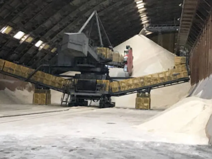 Produção de açúcar no Estado cresce 1,4% na safra 21/22