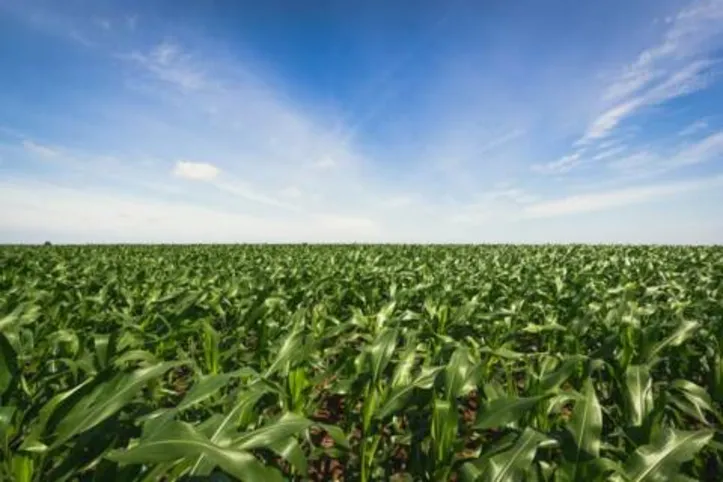 Crédito rural teve elevação de 30% em relação ao mesmo período da safra anterior