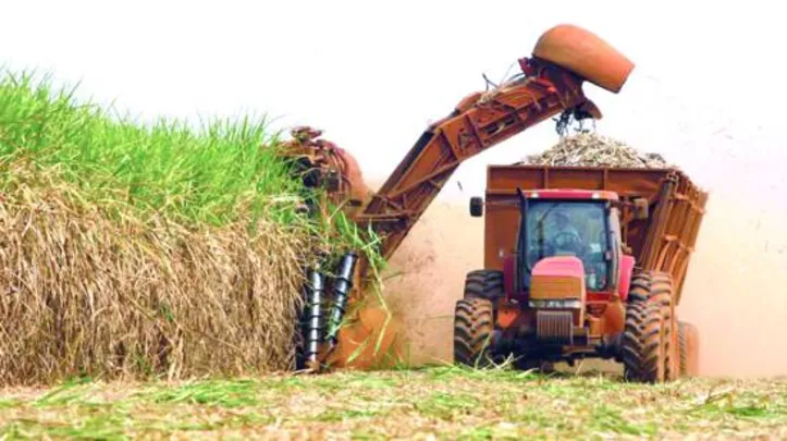Apesar dos números positivos em Alagoas, produção nacional teve queda superior a 10% na quantidade de cana esmagada