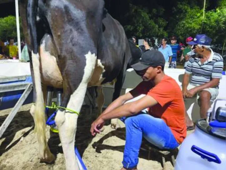 Evento mostrou o potencial do rebanho do sertão alagoano
