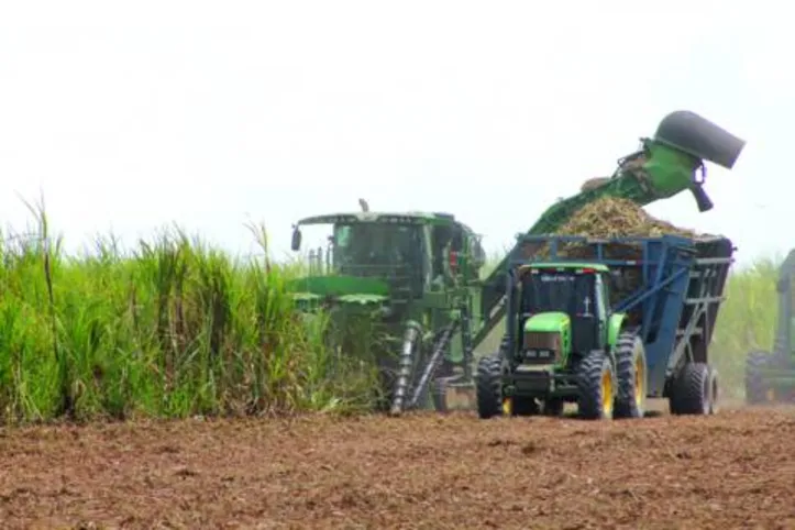 Safra 21/22 teve início na segunda quinzena de agosto passado