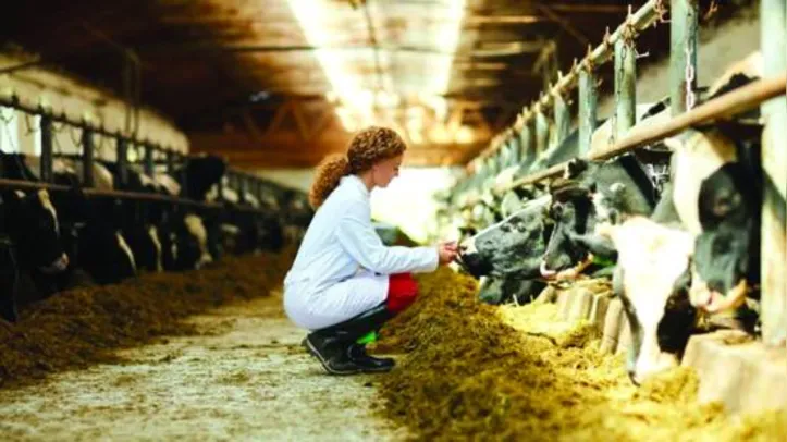 Perspectivas de produção agro permanecem altas para 2022