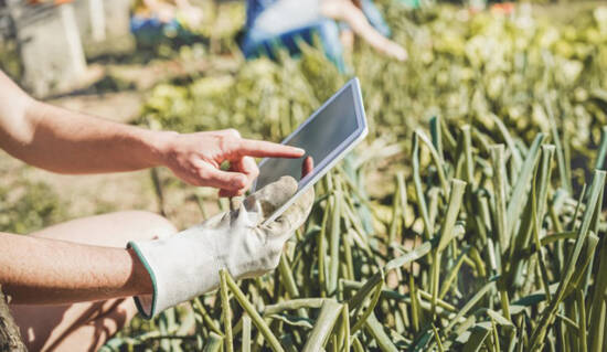 Finalidade é acelerar o processo de consolidação dos projetos de reforma agrária por intermédio da inserção produtiva