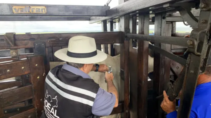 Vacinação segue até o dia 31 de maio para bovinos e bubalinos de todas as idades