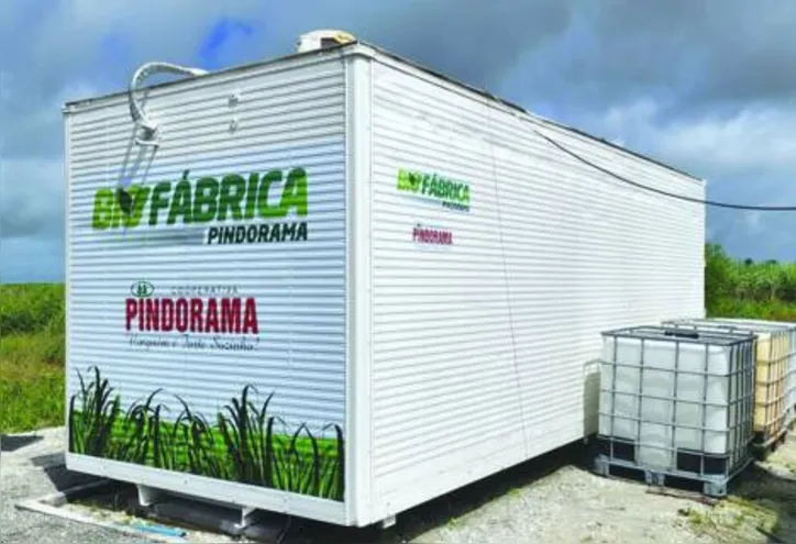 Aplicação dos microrganismos produzidos pela fábrica é vital para o desenvolvimento do canavial