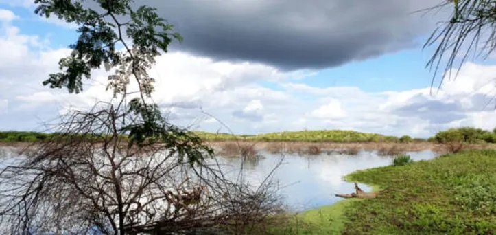 Arapiraca, Lagoa da Canoa, Coité do Noia e Quebrangulo poderão ficar de fora do novo desenho da região