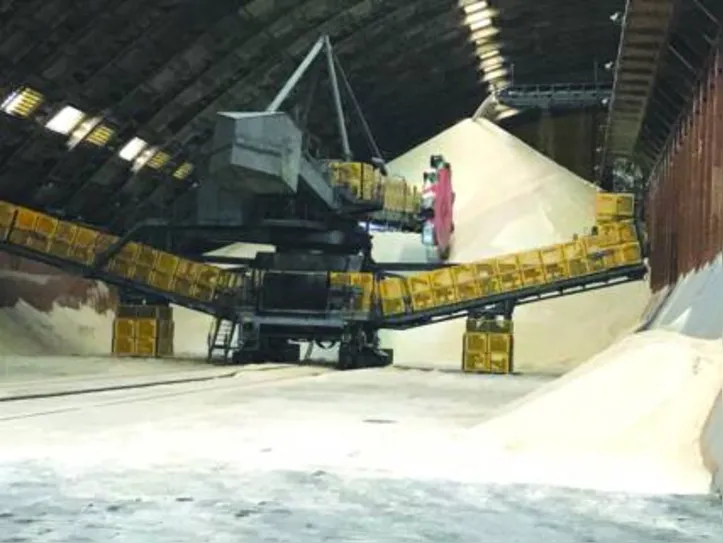 VHP exportado para o mercado americano foi o único produto que não registrou queda