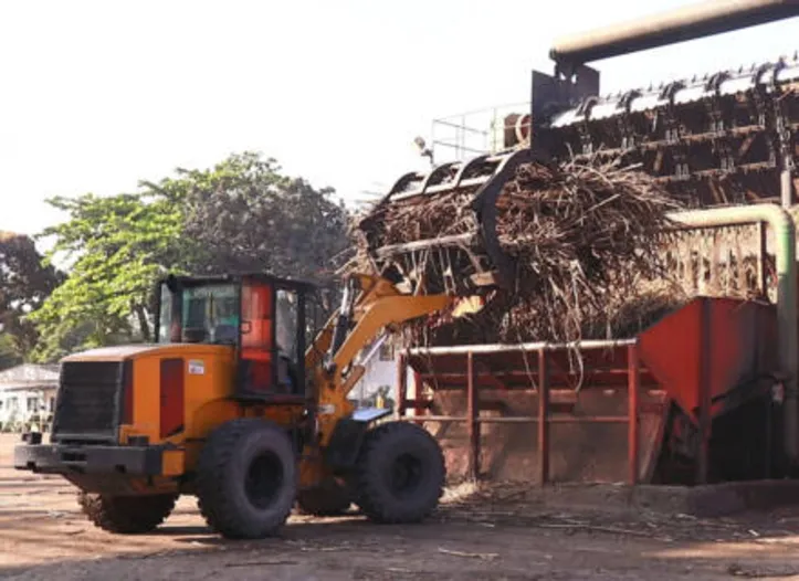Safra dos produtores de Alagoas foi superior a quantidade de cana beneficiada pelo estado da Paraíba