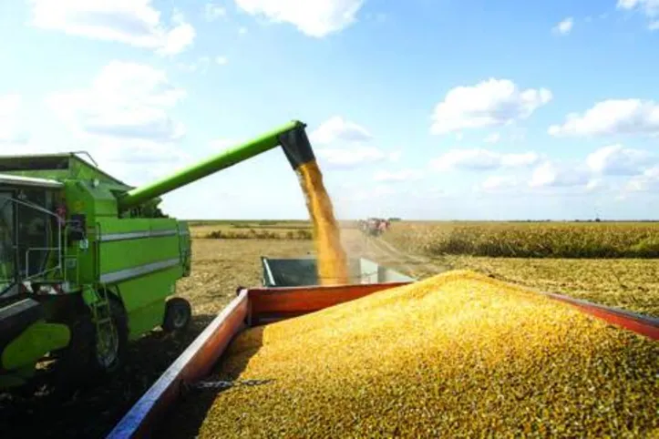 Para área também é esperado um aumento de quatro milhões de hectares, sendo estimada em 73,8 milhões de hectares