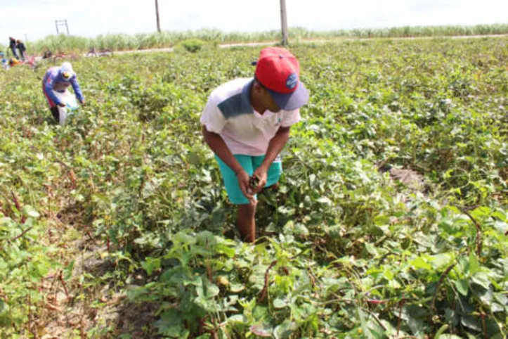 Programa vai contemplar a compra de 30 itens, dentre produtos in natura e processados da agricultura familiar