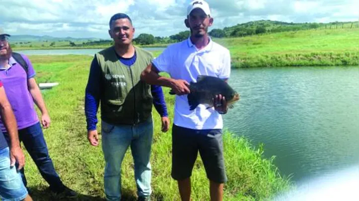 Produção já chegou a quase cinco mil toneladas de peixe