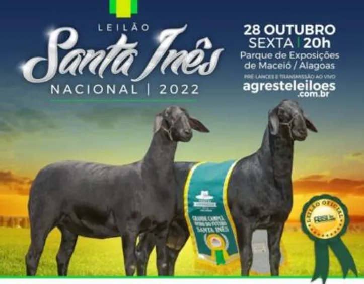 Imagem ilustrativa da imagem DICA RURAL (01 e 02/10/2022)