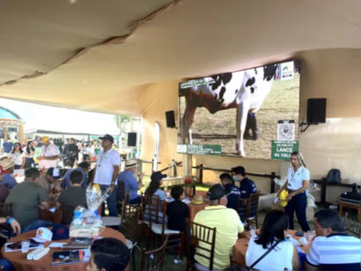 Exposição deve contar com mais de sete leilões de bovinos e equinos