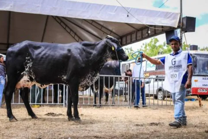 Exposição mostra o potencial da pecuária da agricultura familiar