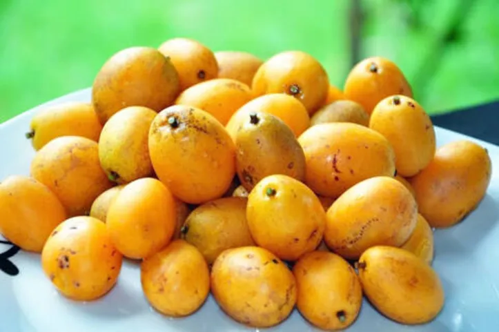 Encontro tem objetivo de compartilhar conhecimento técnico sobre o cultivo da fruta